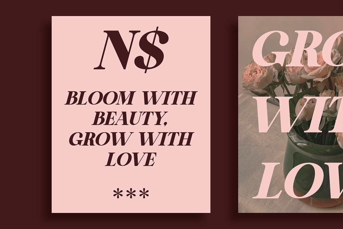 Shiny Black - Elegant Serif Typeface, a Serif Font by MaikoHatta (Photo 3 of 9)