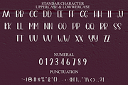 Joyful Christmas, a Handwritten Font by InermediaSTUDIO (Thumbnail 3 of 8)