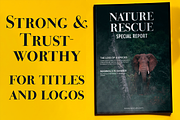Bodoni Palazzo, a Font by California Type Foundry (Thumbnail 5 of 9)