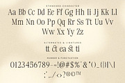 Meaning Elegant - Classic Serif Font, a Serif Font by Lettersiro (Thumbnail 6 of 8)