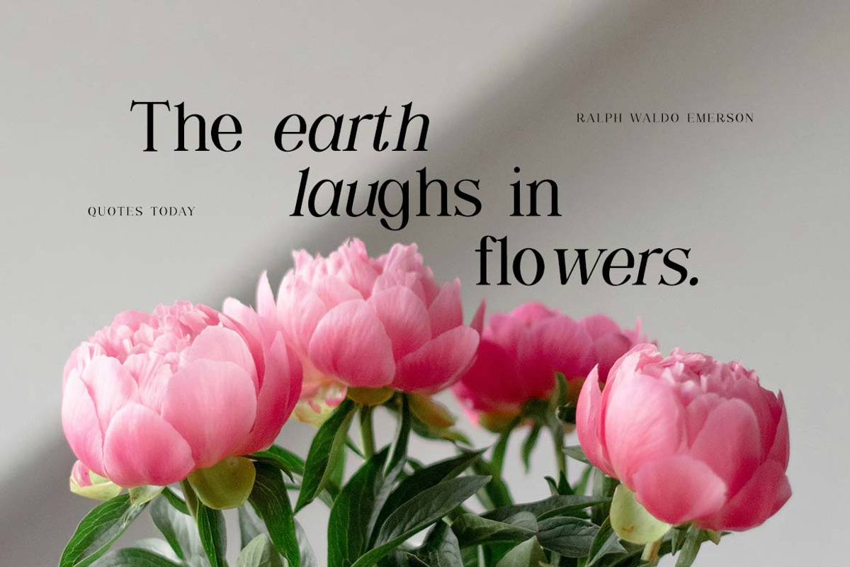 Shailey Morgance Elegant Serif Font, a Serif Font by UICreative (Photo 2 of 13)