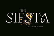 ED Cretheus Display Serif, a Serif Font by Emyself Design (Thumbnail 6 of 12)