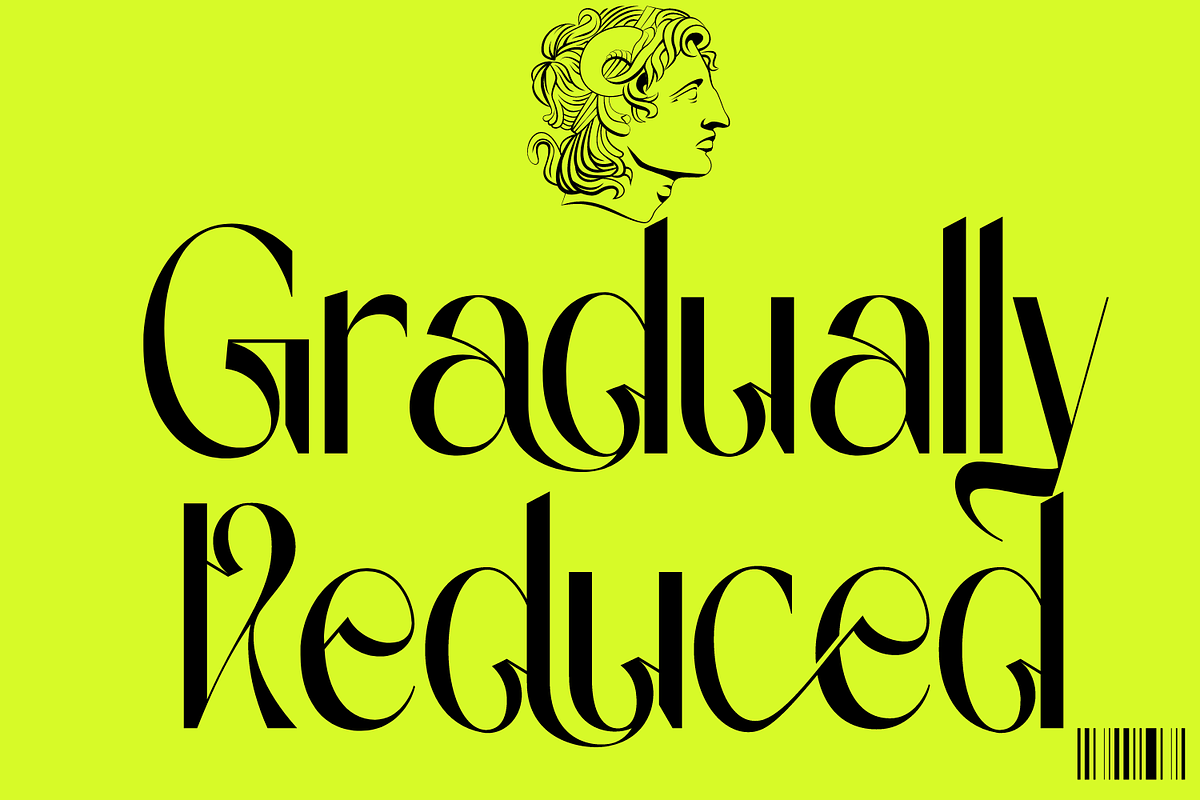 Gradually Reduced Font, a Serif Font by 177Studio (Photo 1 of 7)