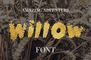 Willow Font - 50% Off