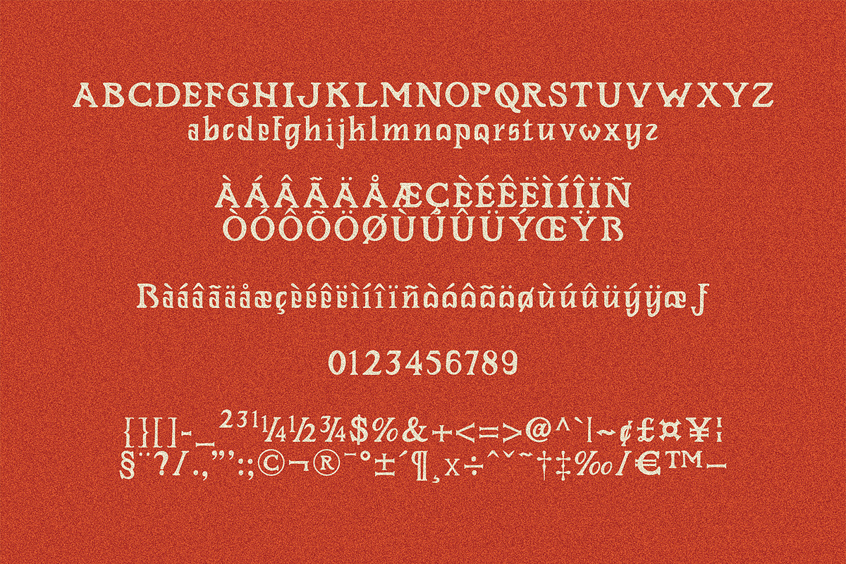 Rowdin Serif, a Serif Font by AROKA (Photo 5 of 10)