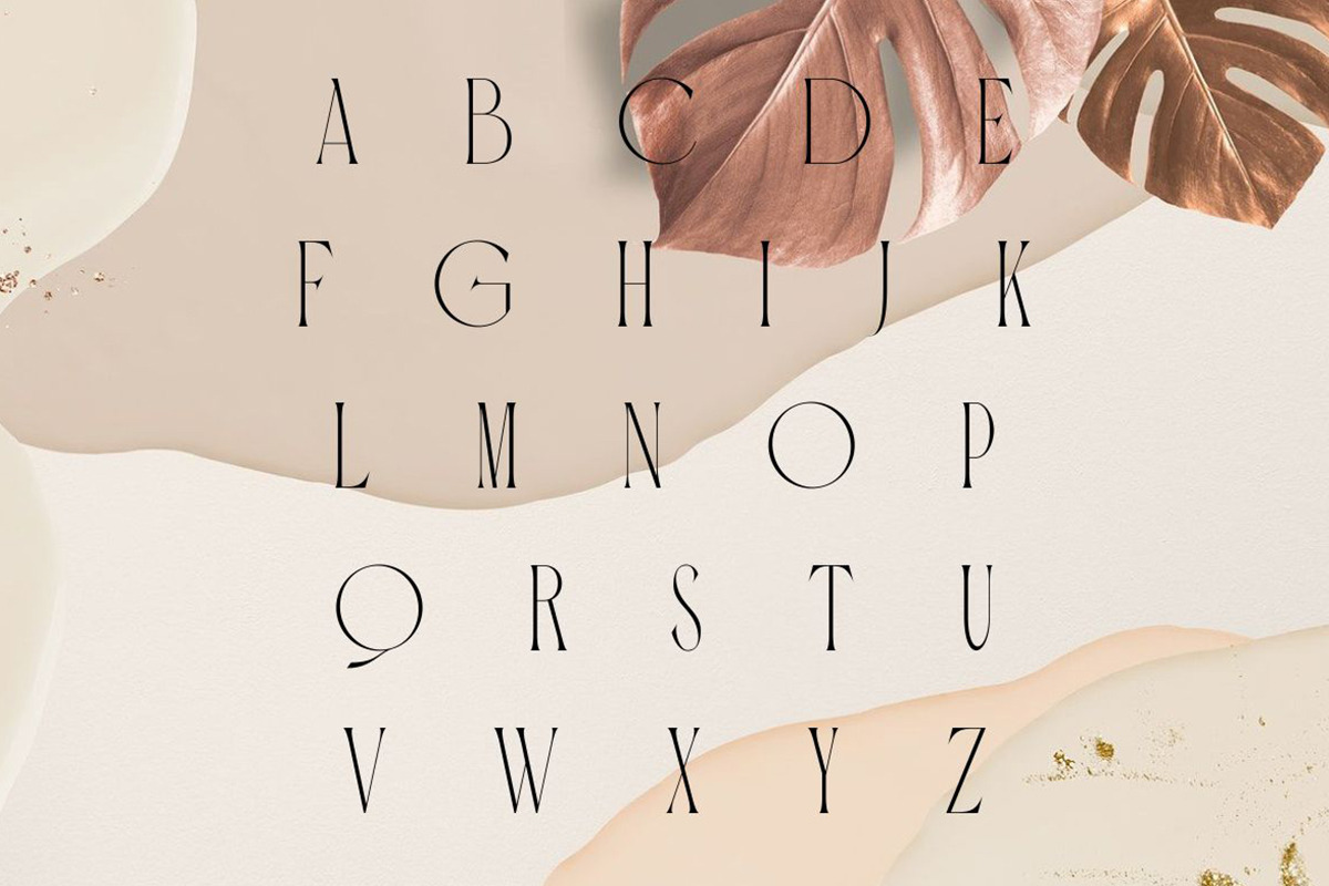 Carola | Modern Serif, a Serif Font by Muntab_Art (Photo 9 of 10)