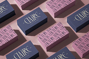 SLTF Rogue Rebellion - Ligature Font, a Serif Font by SilverStag Type Foundry (Thumbnail 8 of 30)