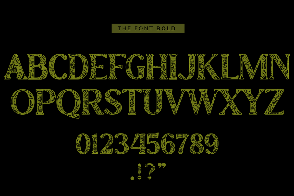 Tree Rings Font, a Sans Serif Font by OMG IT'S LINDZ (Photo 5 of 6)
