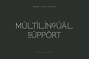 Reborn - Modern Chic Font, a Serif Font by Sensatype (Thumbnail 14 of 16)