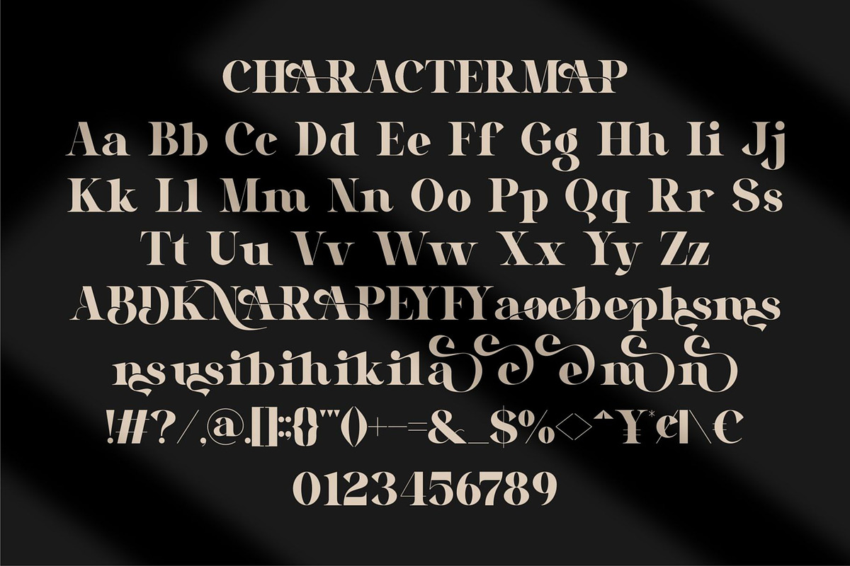 Naolen || Modern Elegant Serif Font, a Serif Font by Ermedia Studio (Photo 10 of 10)