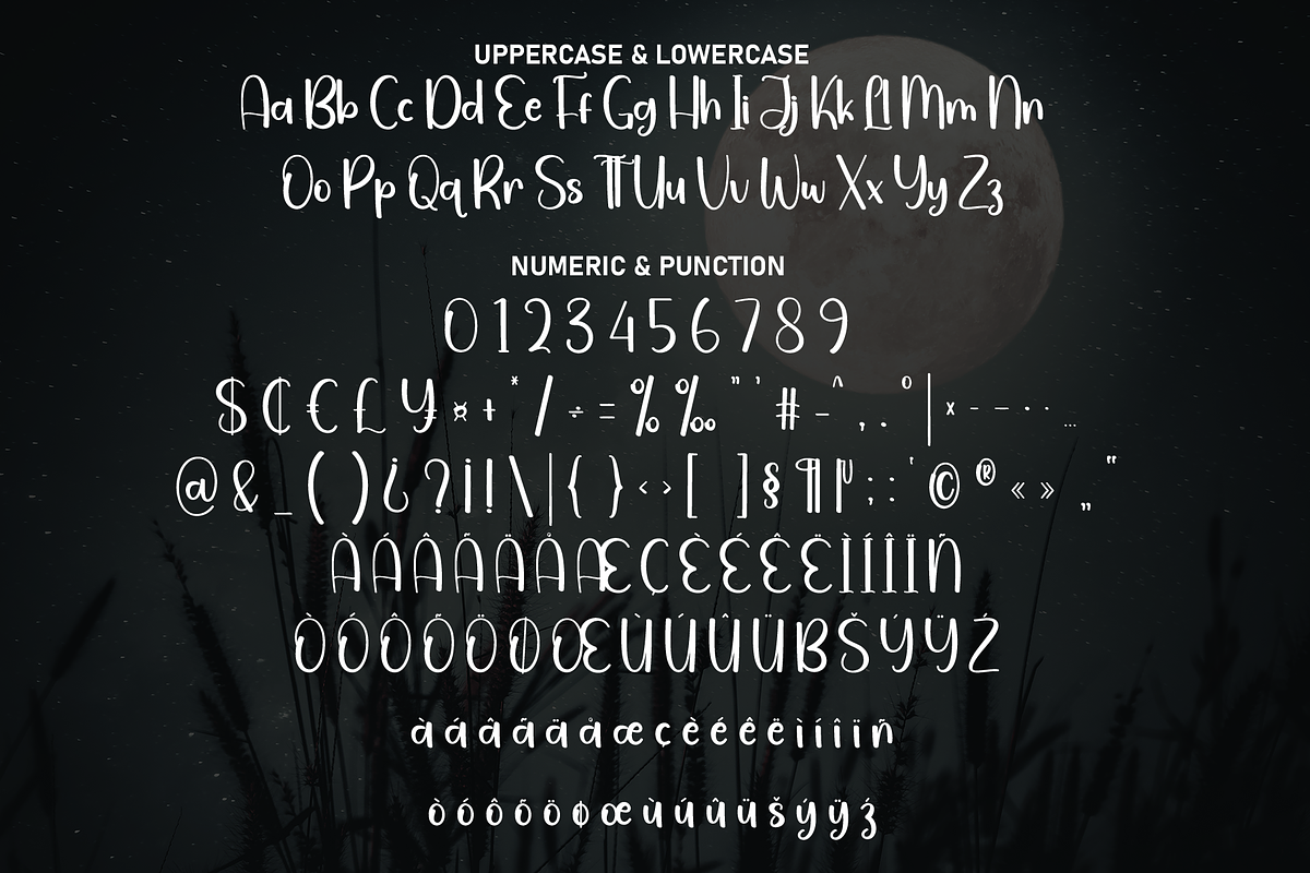 Moonlight | Script Font, a Handwritten Font by Scratchones (Photo 6 of 8)