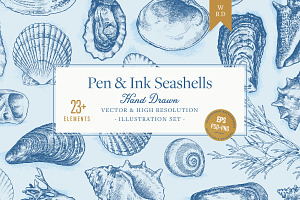 Vector Seashells Set + Bonus