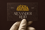 VELOURÉ — Elegance Luxury Serif, a Serif Font by ToniStudio (Thumbnail 3 of 13)