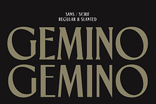 TNSC Gemino - Sans & Serif Typeface