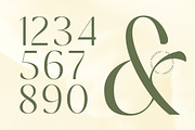 Mugia Elegant Modern Display Font, a Sans Serif Font by timelesstype.co (Thumbnail 6 of 20)
