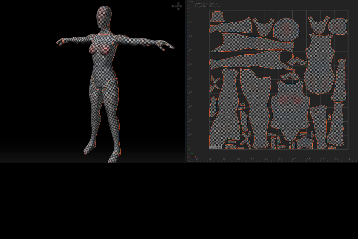 Realistic Female Base Mesh in T-Pose, a Characters & Person 3D Model by Casa Mandarina (Photo 9 of 9)