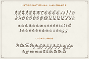 Goodline - Monoline Font + Extras, a Script Font by endita (Thumbnail 5 of 9)