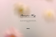 Bloomed in Haze: Floral Backgrounds, a Background Graphic by Purple (Thumbnail 11 of 14)