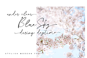 Collection - NEW STYLE, a Script Font by alphArtype (Thumbnail 13 of 16)