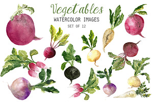 Watercolor Vegetables Clipart