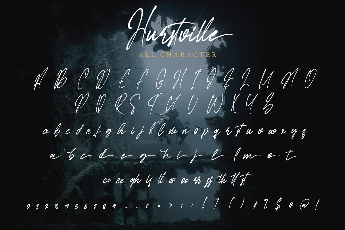 Hurstville - Brush Signature Font, a Script Font by Arendxstudio (Photo 8 of 8)
