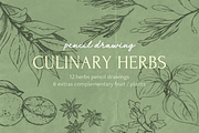 Pencil Drawing Culinary Herbs, an Illustration by elpple (Thumbnail 1 of 6)