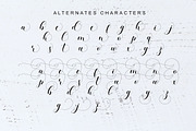 Blessed Youth Script, a Script Font by Artic Type (Thumbnail 8 of 9)