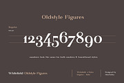 The Versatile Font Bundle, a Sans Serif Font by AlienValley (Thumbnail 9 of 141)