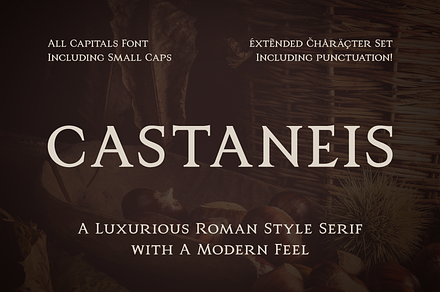 Castaneis - Luxury Roman Style Serif