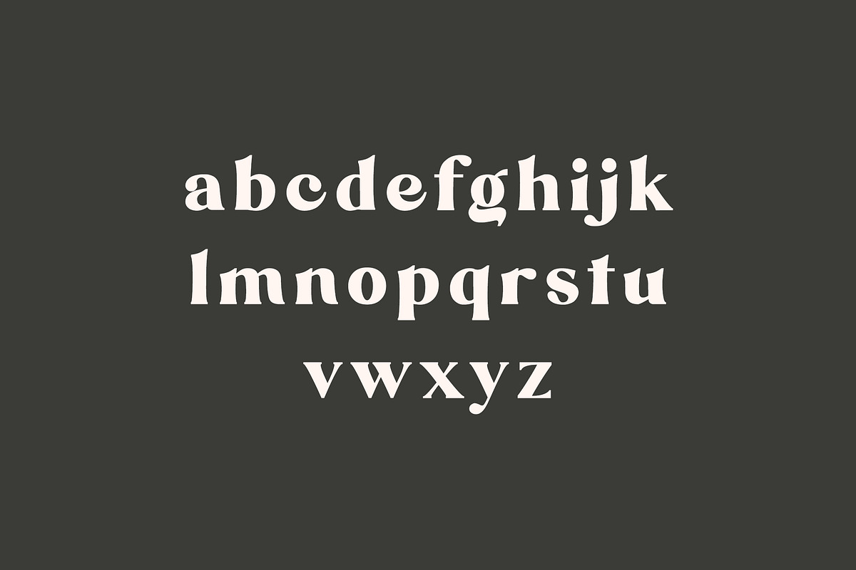 Danilo Catalina Classic Serif Font, a Serif Font by UICreative (Photo 7 of 11)