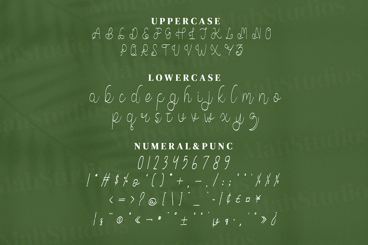 Abjoccy Script Fonts, a Script Font by mahstudios (Photo 12 of 14)