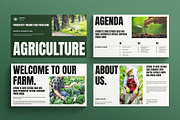 Agriculture Presentation Template, a Presentation Template by E-Type (Thumbnail 2 of 5)