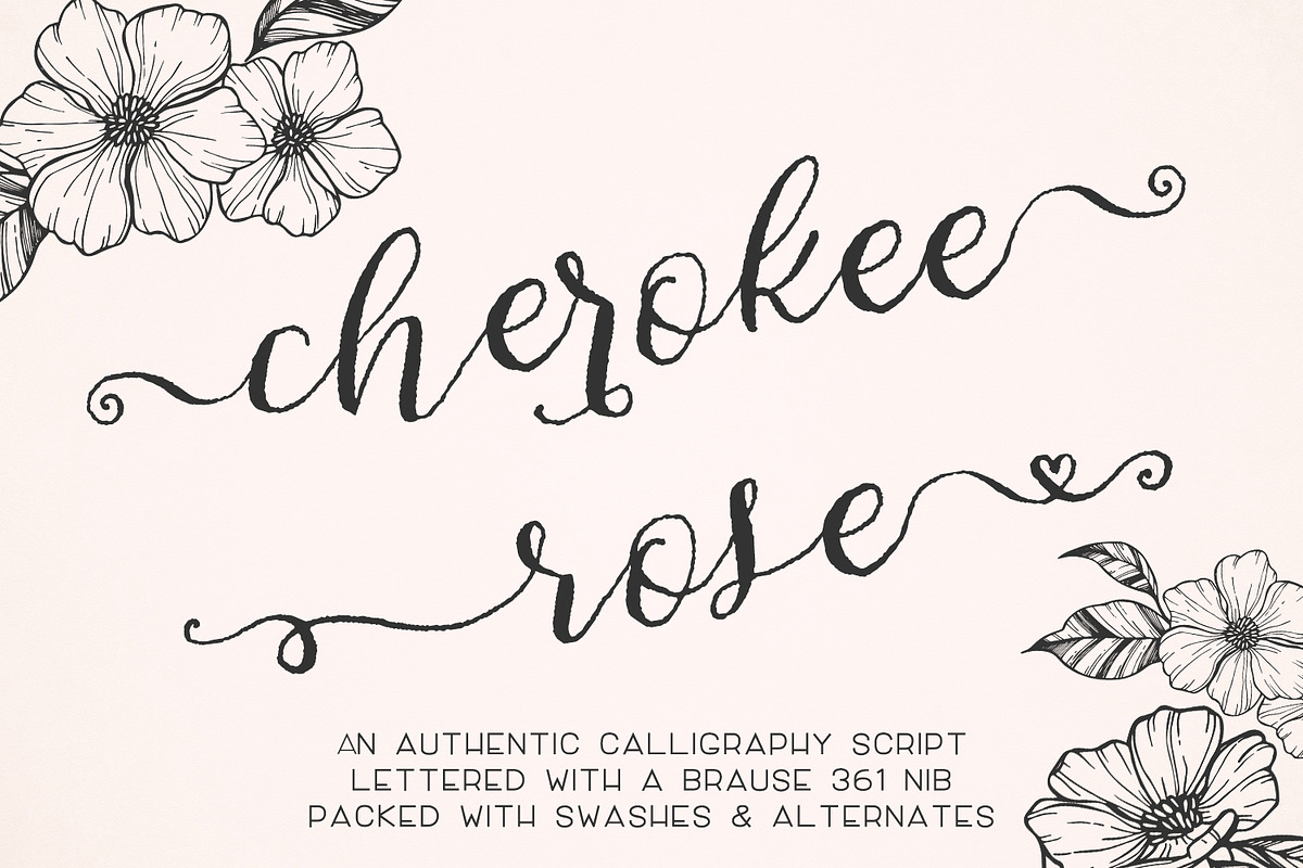The Rustic Font Bundle, a Handwritten Font by Beck McCormick (Photo 3 of 15)