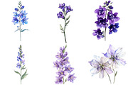 Larkspur Flower Watercolor Cliparts, an Illustration by Watercolor design (Thumbnail 2 of 4)