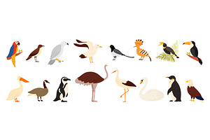 Different birds of world set, an Animal Illustration by Flashvector