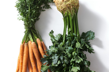 Flatlay with root vegetables carrot and celeriac on white backgr, a Food & Drink Photo by Asya Nurullina
