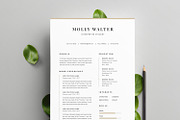 Modern Resume Template  MOLLY A4, a Resume Template by Graace Studio (Thumbnail 1 of 4)
