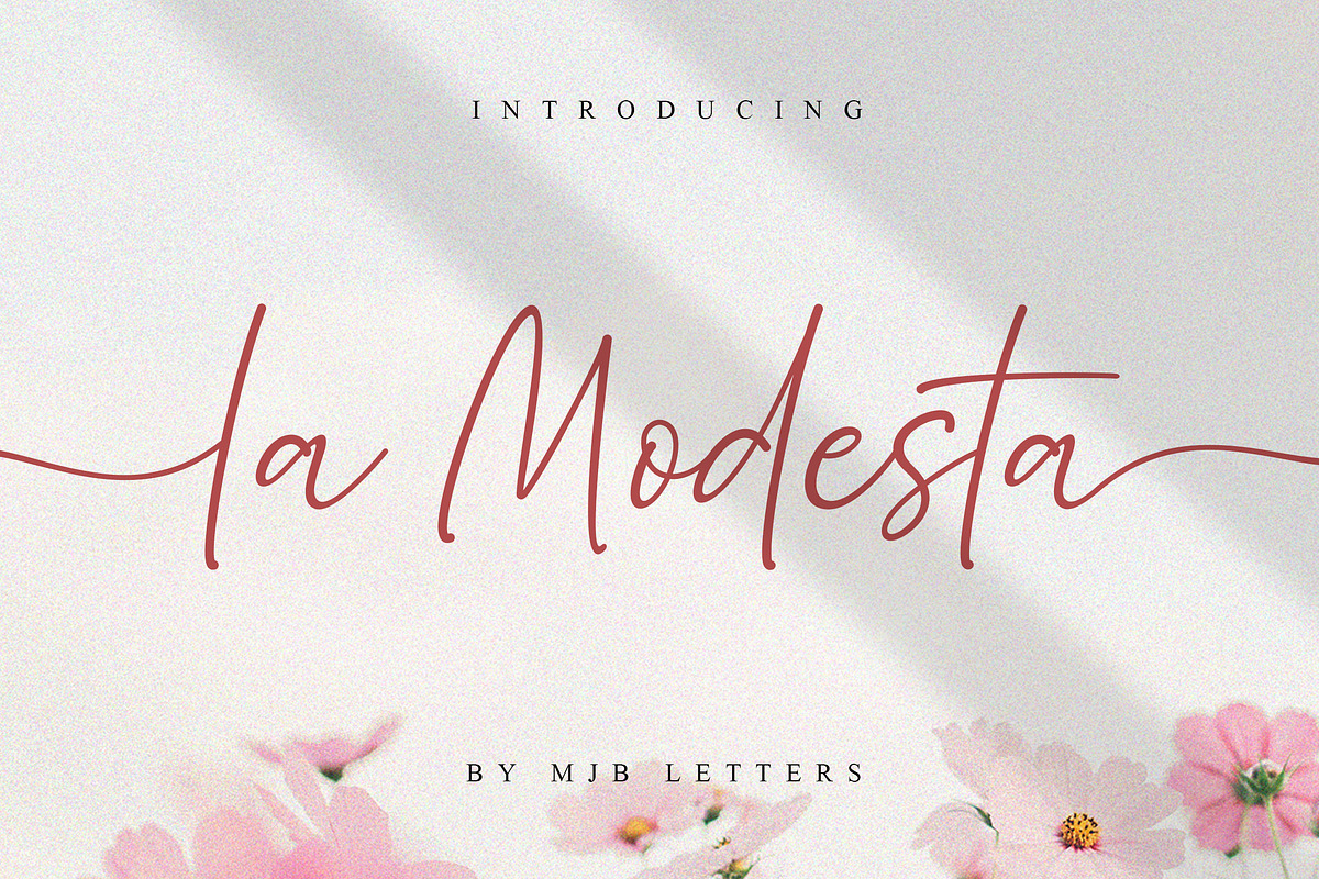 La Modesta, a Script Font by MJB Letters (Photo 1 of 10)