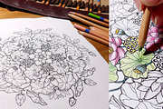 Lotus Mandala, an Illustration by KatPush (Thumbnail 2 of 5)
