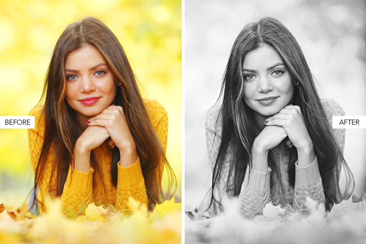 Black & White Lightroom Presets preview 5