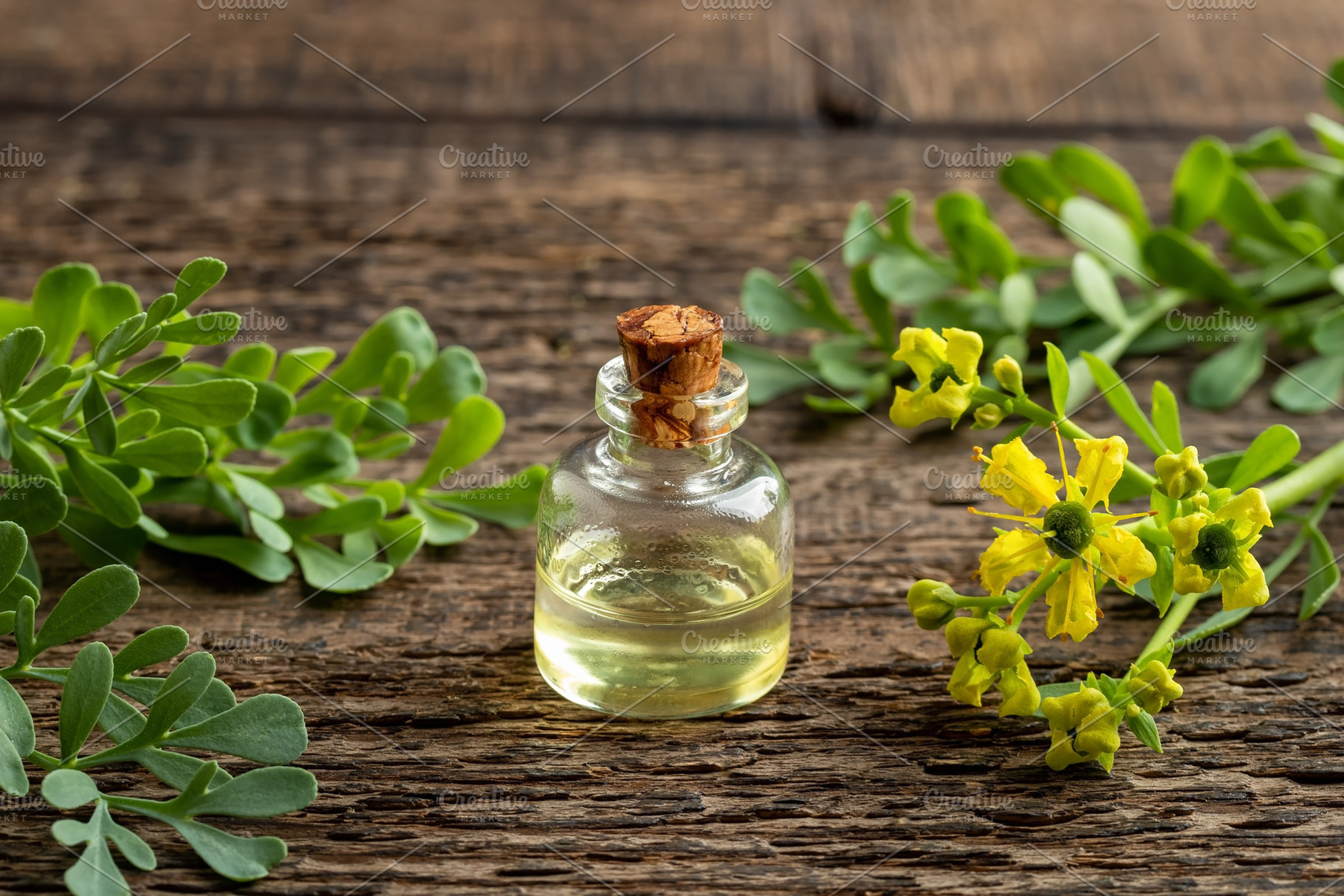Essential oil bottle with blooming c, a Food & Drink Photo by Madeleine Steinbach