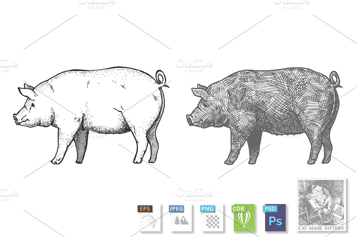 Hand drawn illustration of pig, an Animal Illustration by CatMadePattern