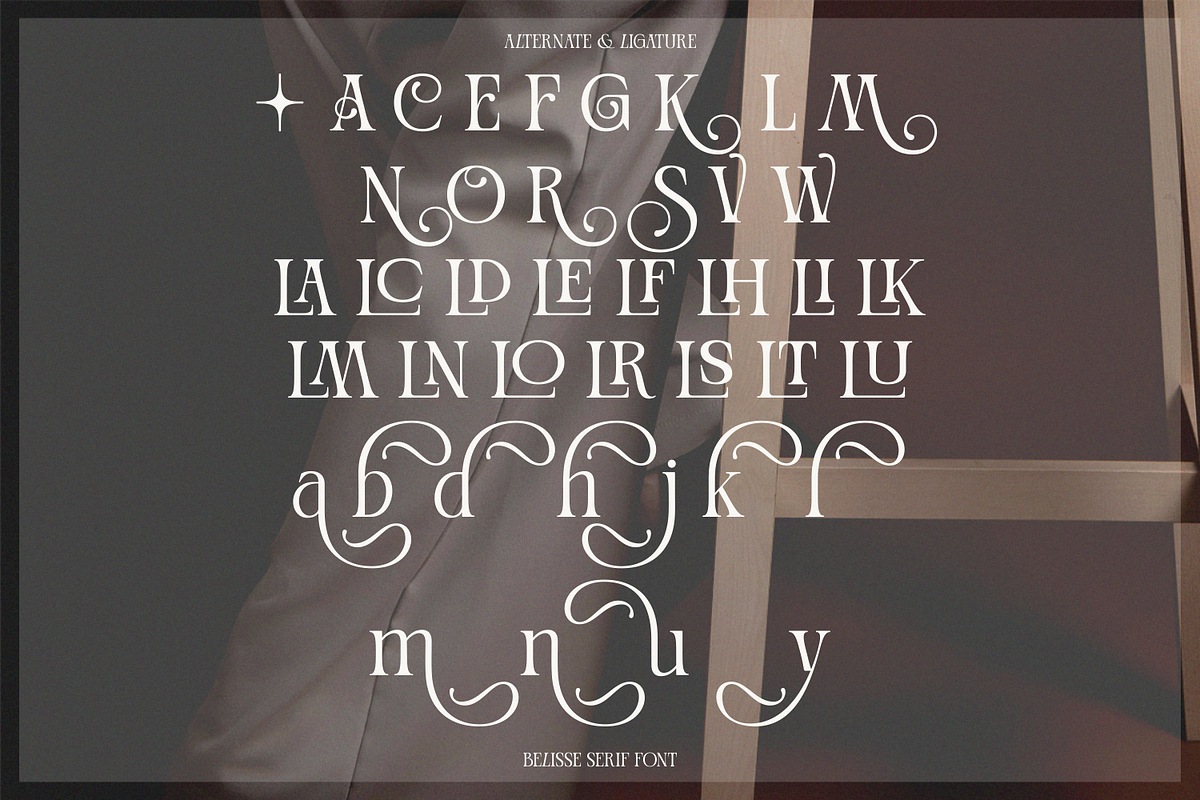 Belisse | Luxury Elegant Serif Font, a Serif Font by BlancaLab Studio (Photo 5 of 6)