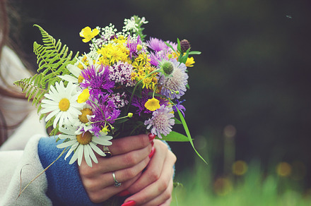 Flowers featuring nature, flower, and flowers
