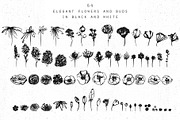 Ink floral collection. Floral ABC, an Illustration by Vera●Suleimanova (Thumbnail 16 of 19)