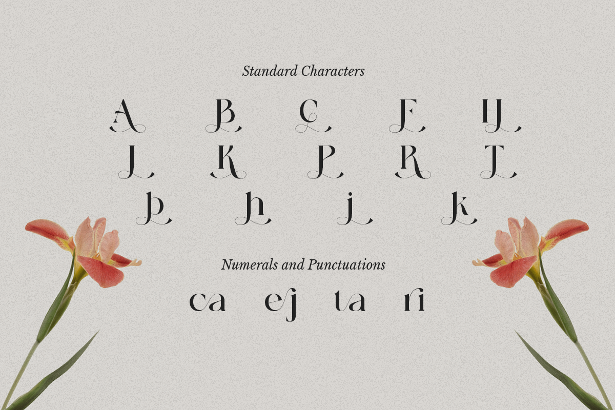 Heart Breaker - Classy Elegant Serif, a Serif Font by Sohel Studio (Photo 10 of 10)