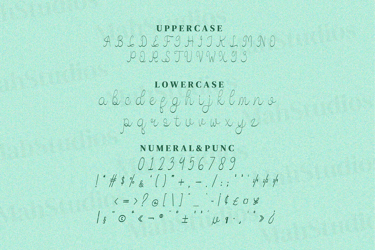 Emalina Scipt Fonts, a Script Font by mahstudios (Photo 13 of 15)