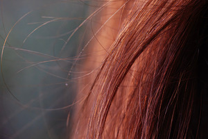 Close-up view of silky brown hair strands in soft light, a Nature Photo by OSORIOartist