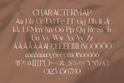 Belgad || Modern Classy Serif Font, a Serif Font by Ermedia Studio (Thumbnail 10 of 10)