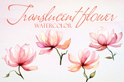 Watercolor Translucent Flower Vector, a Pattern Graphic by Deckar_art (Thumbnail 1 of 5)